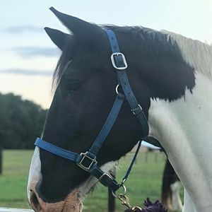 Meet your Posher, Gail